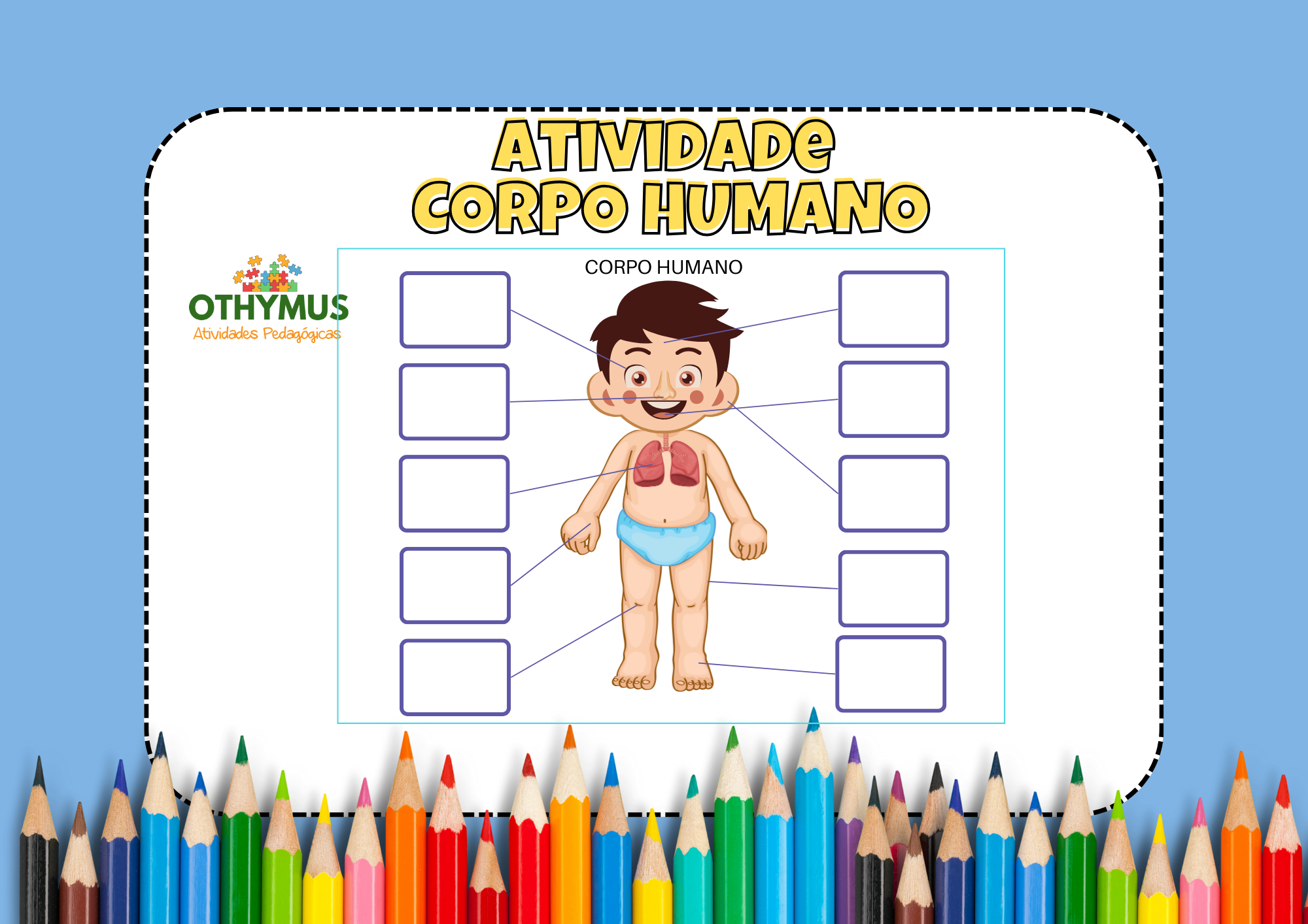 Atividade Corpo humano