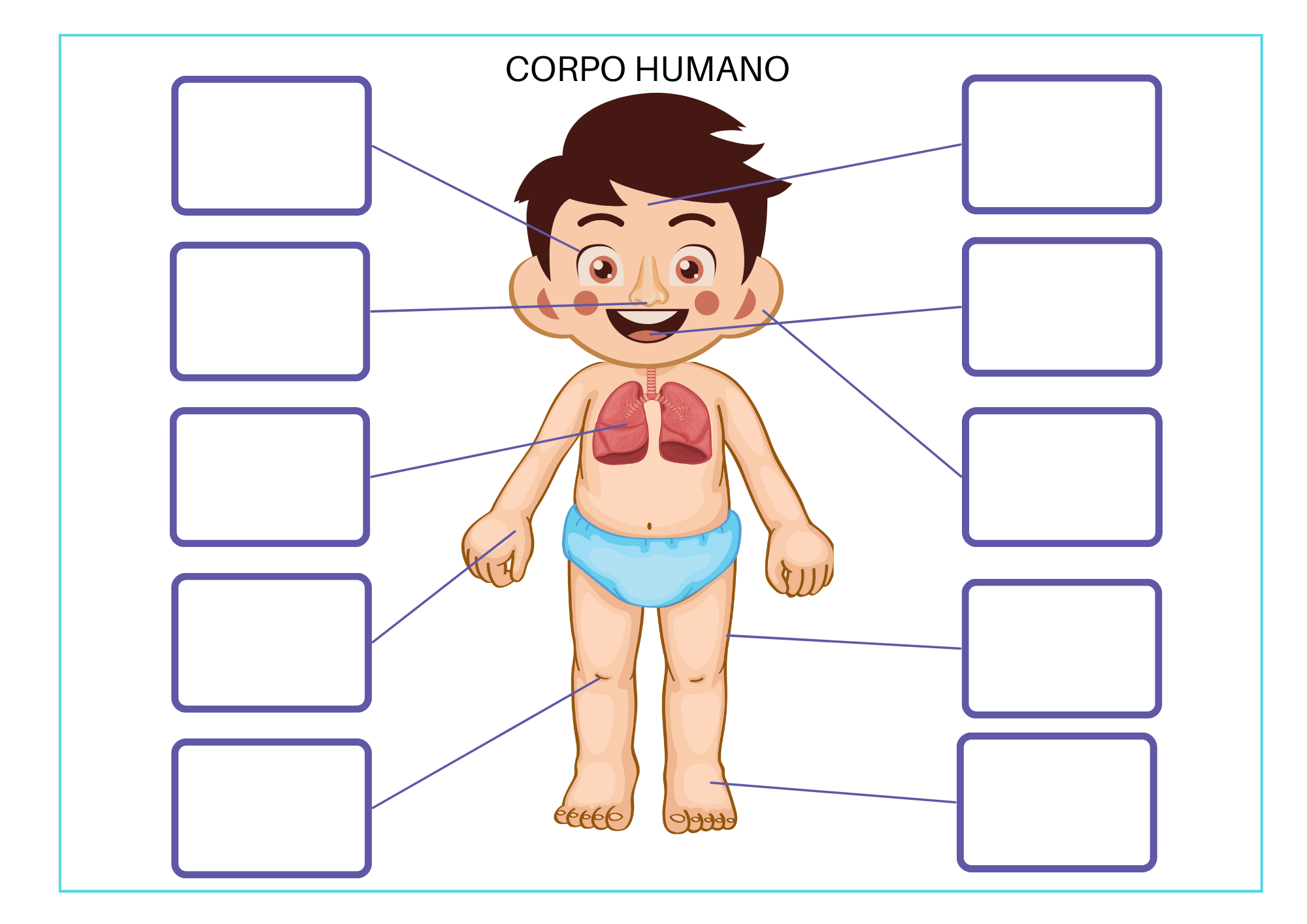 atividade sobre o Corpo Humano para a educação infantil